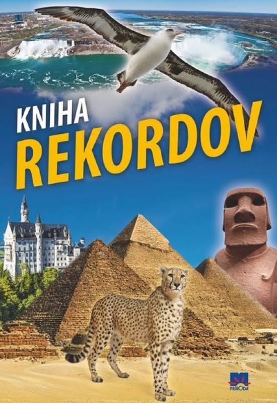 Kniha rekordov